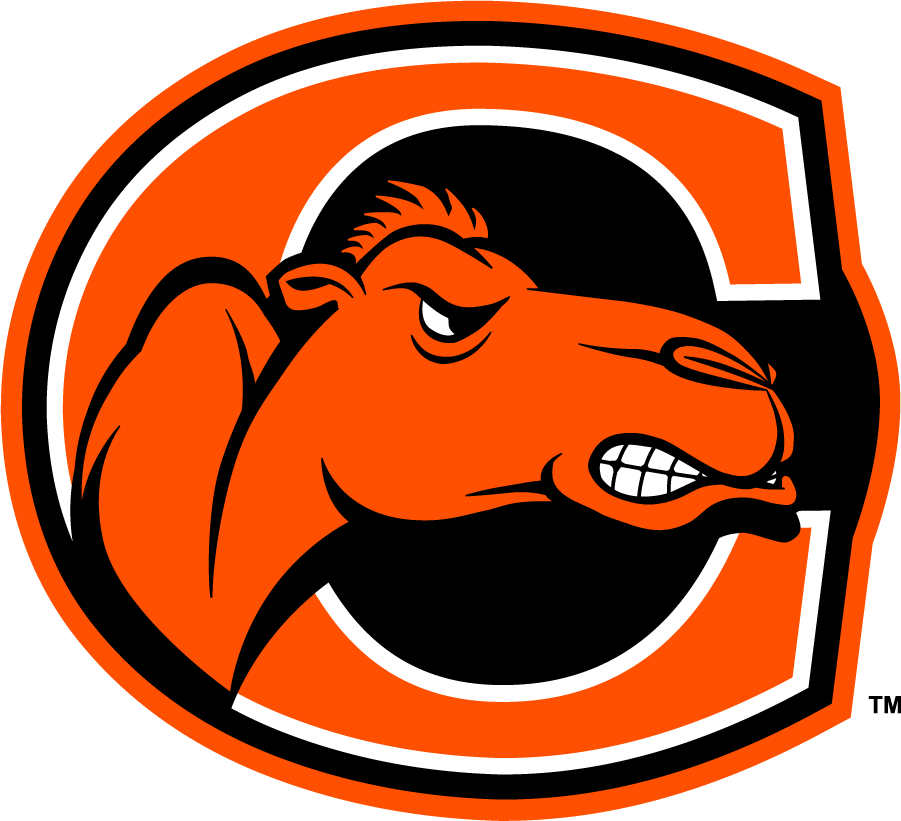 Campbell Fighting Camels 2005-2008 Secondary Logo diy iron on heat transfer